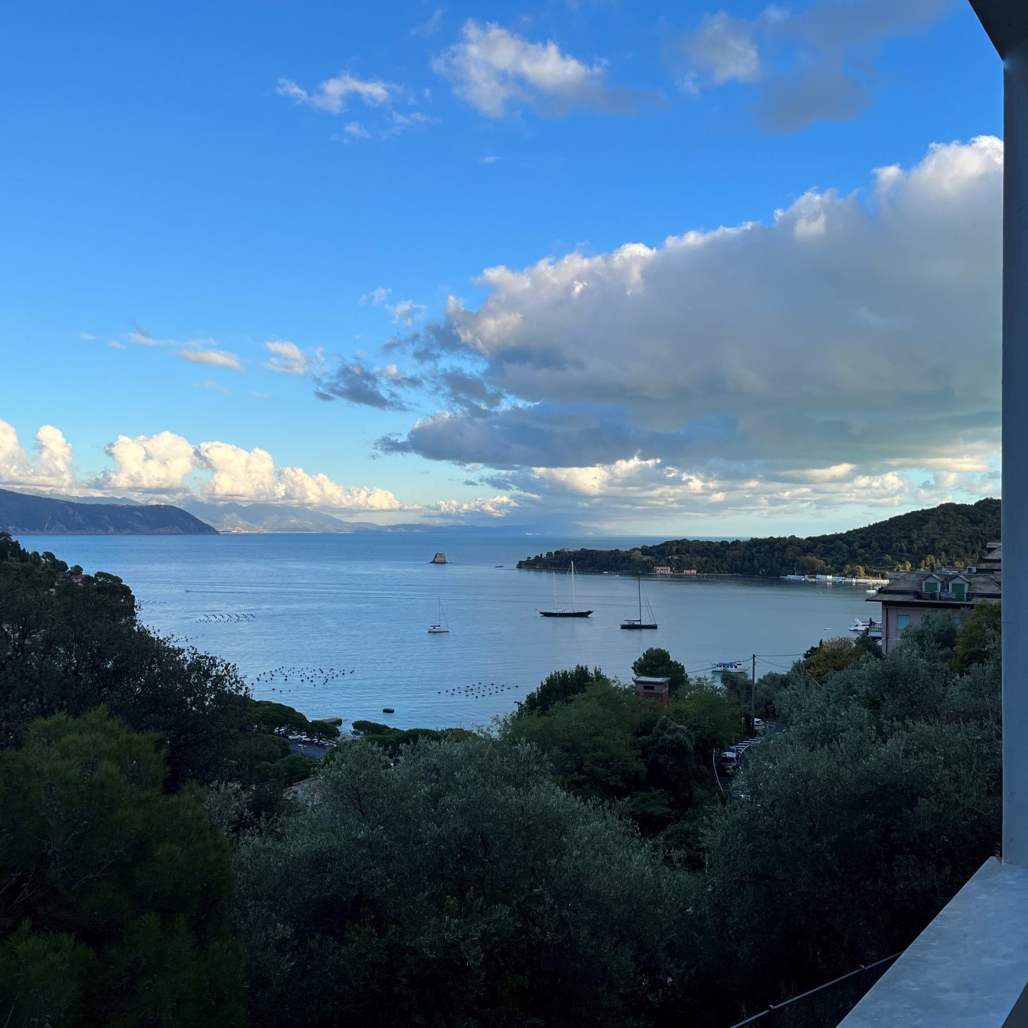 Poets Bay Terrace